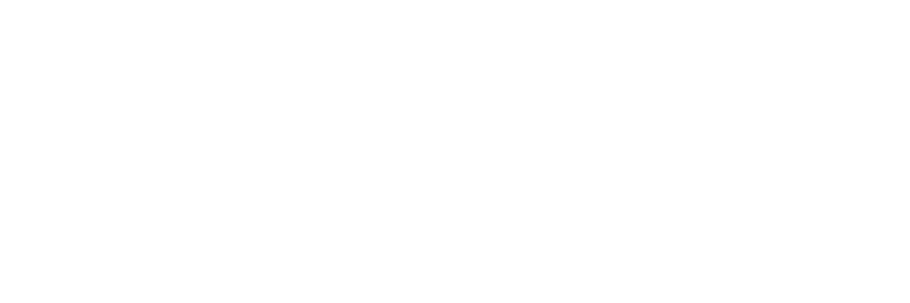 Form Chiropractic